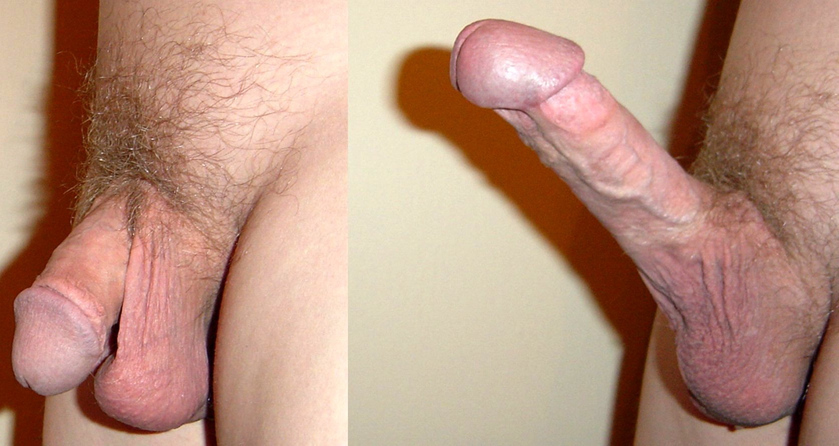 Picture dick images